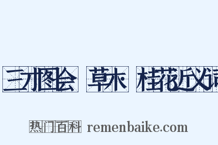 三才图会·草木·桂花近义词是什么意思的图片